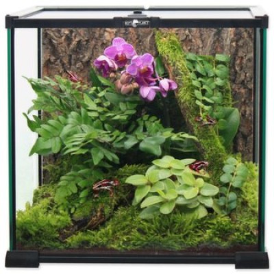 Terrario de cristal Repti planet 20x20x20 